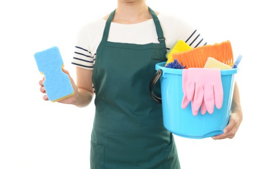 Professional carpet cleaning in a Docklands apartment living room