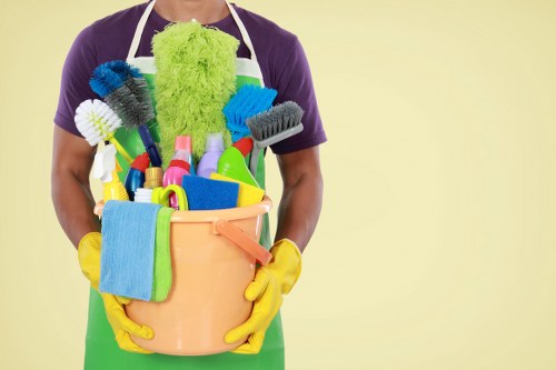 Professional cleaner reviewing safety measures before starting work