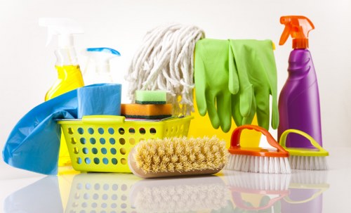 Regular Docklands cleaning service maintaining a bright, tidy home