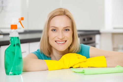 Bathroom descaling and cleaning in a Docklands rental property
