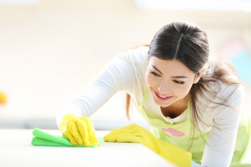 Eco-friendly cleaning supplies used by home cleaners in Docklands