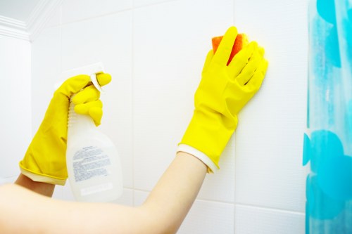 Inclusive online access for Cleaners Docklands area visitors
