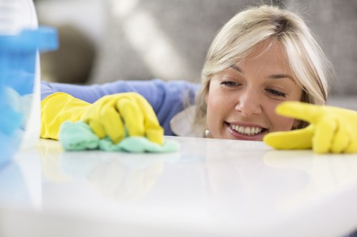 Eco-friendly cleaning products used for Docklands house cleaning