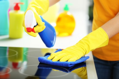 Leather sofa cleaning service in Docklands apartment