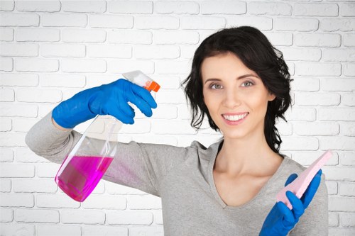 Carpet cleaner removing stains in a Docklands apartment