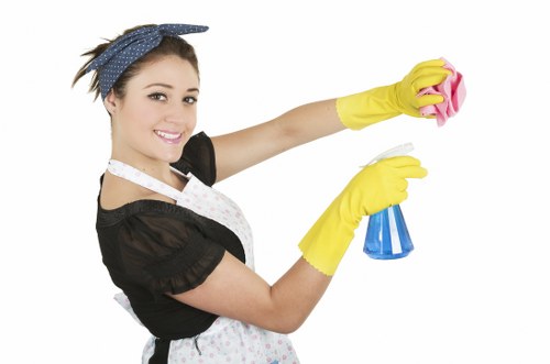 Accessible website layout with clear headings for Docklands cleaning services