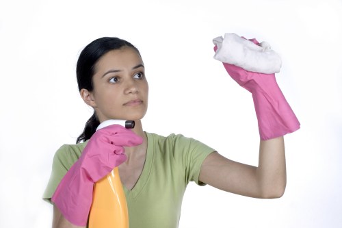Window cleaning service for a Docklands high-rise building