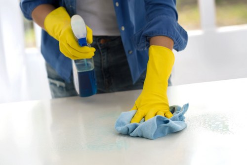 Deep oven cleaning result for a Docklands home